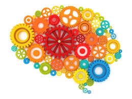 The Schema of Big Ideas