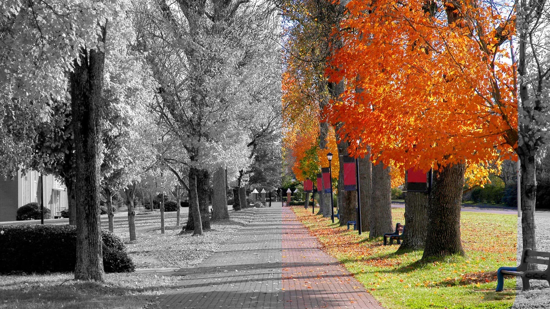 Why Colleges Should Open in Fall