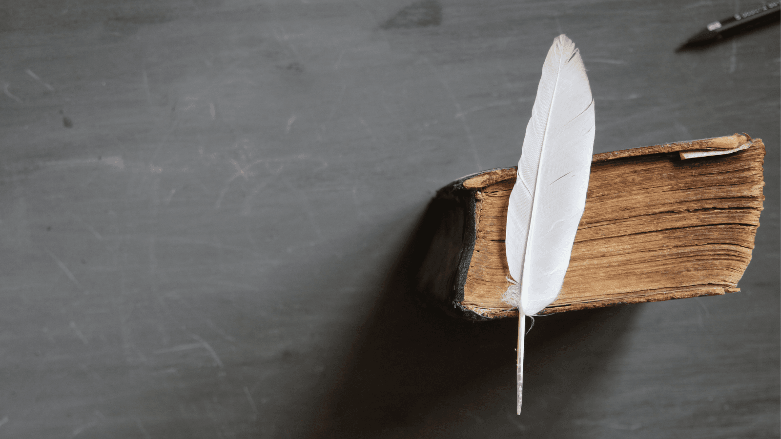 What is Liberal Arts and Why do we need to study Liberal Arts?