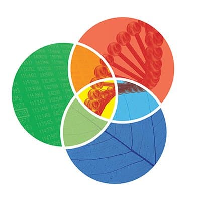 Emerging Interdisciplinary Domains